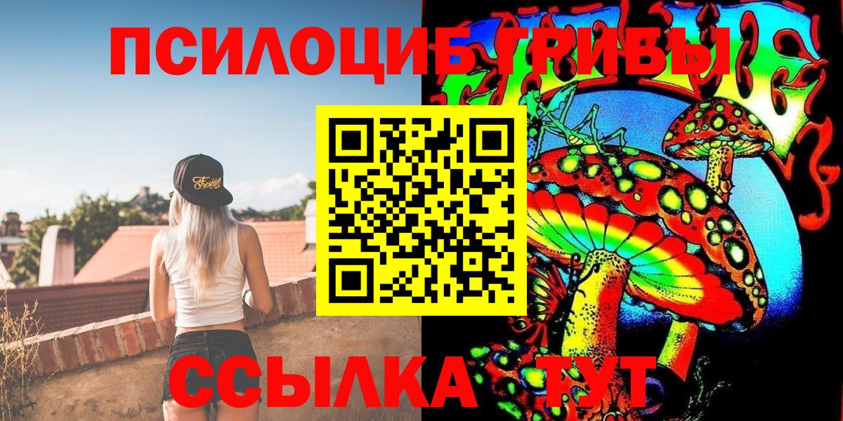 Кольчугино  Галлюциногенные грибы Psilocybe  Вход с VPN  Псилоцибиновые грибы Psilocybine cubensis 